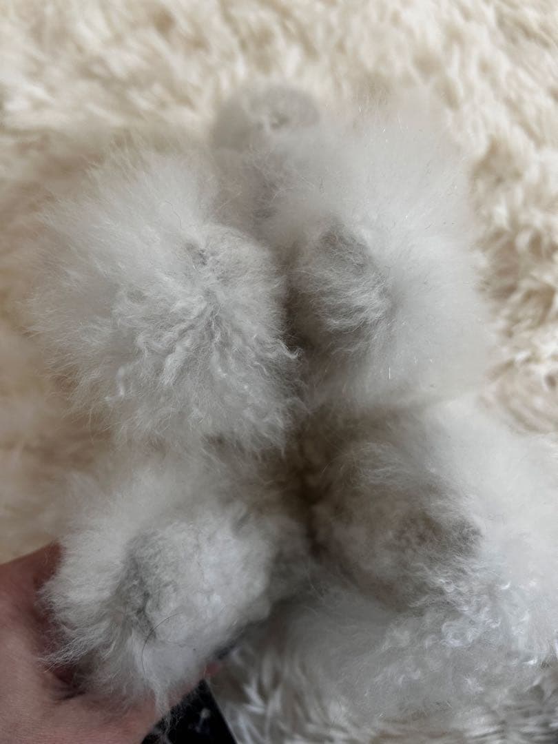 ❣️新商品❣️ベビーアルパカ 100％ 象 ぞう ぞうさん ぬいぐるみ アルパカ