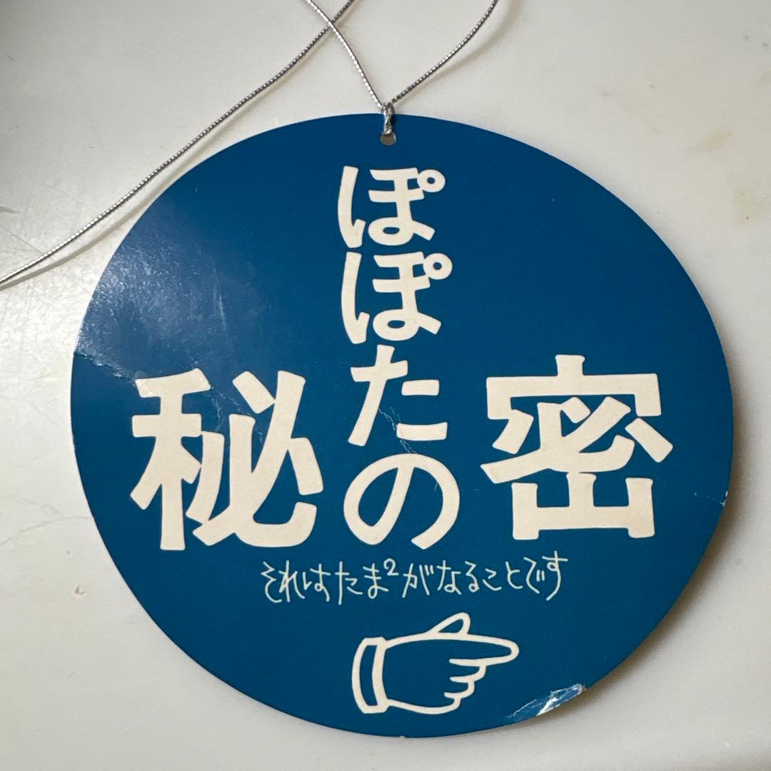 ぬいぐるみの三英　たぬき　BIGぬいぐるみ　レトロ ぽぽたの秘密