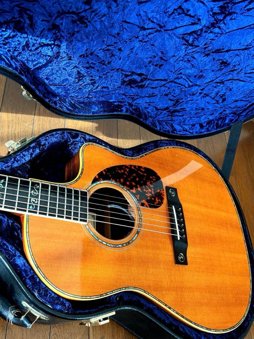 ギター Larrivee LV-10MR