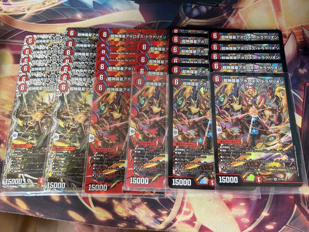 アポロヌスドラゲリオン バラ売り