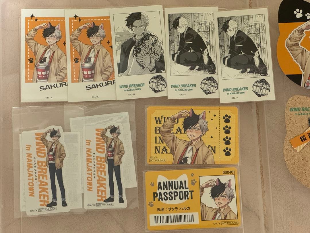 WIND BREAKER ナンジャタウン 桜遥