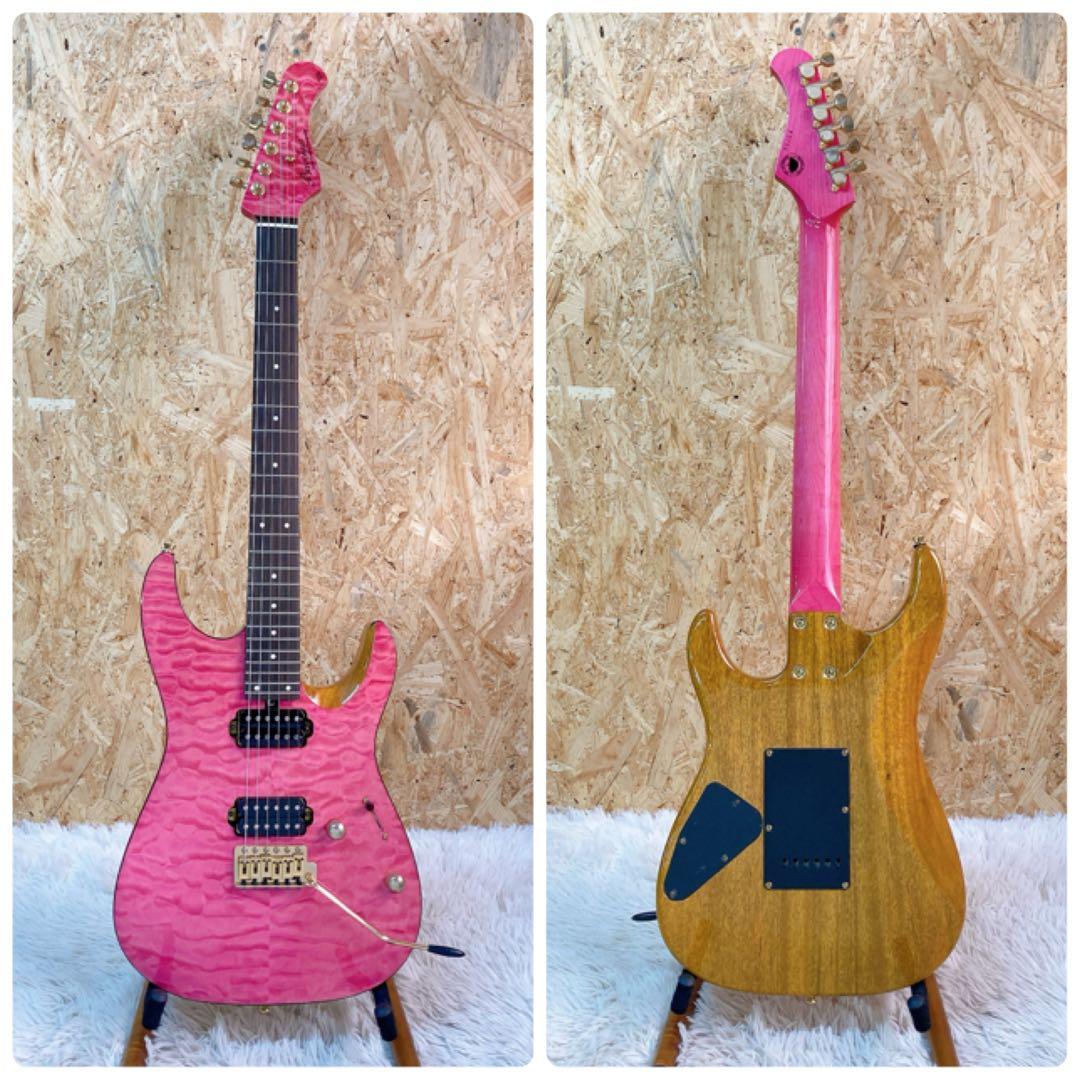 bacchus HGD custom 24 MG ソフトケース付き