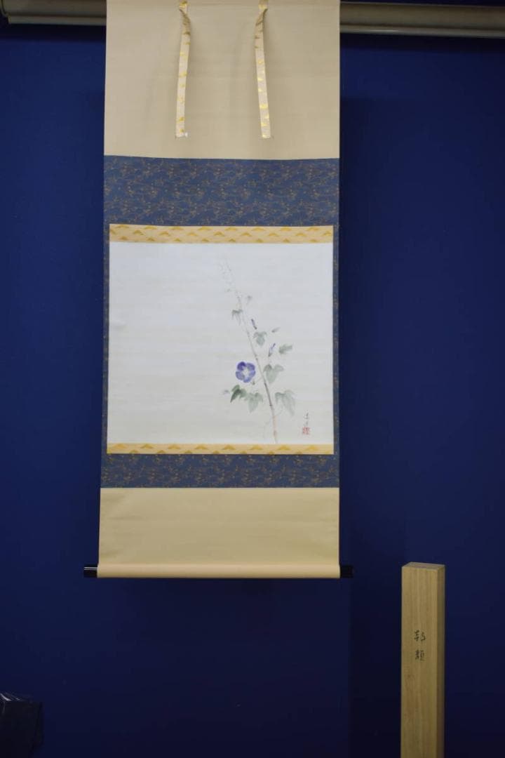真作/長島涛逸/長島濤逸/朝顔図/桐共箱付/布袋屋掛軸HI-976