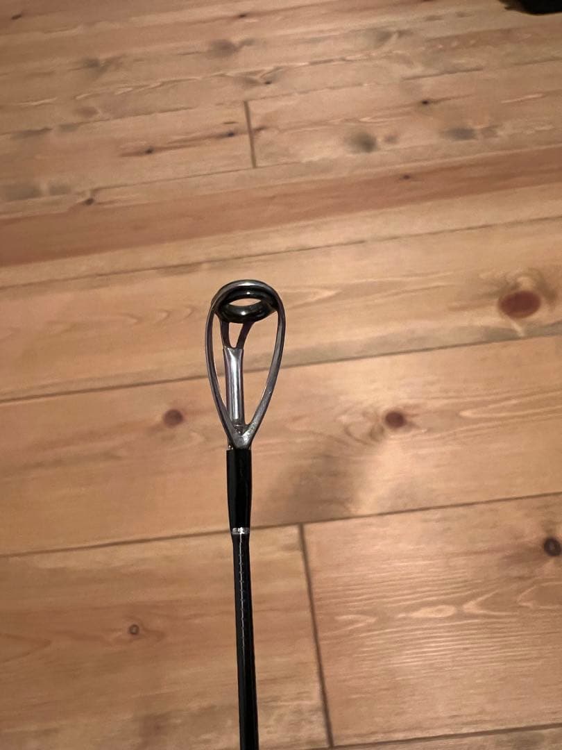 フィッシュマン ブリストマリノ9.9H