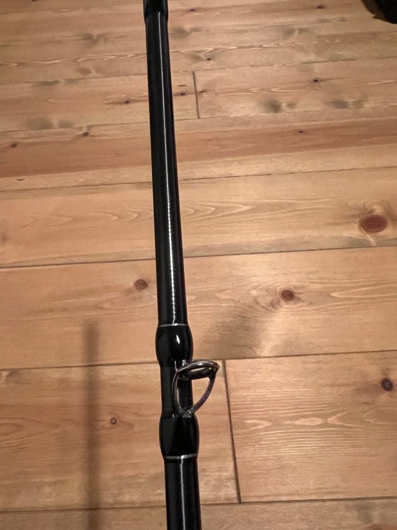 フィッシュマン ブリストマリノ9.9H