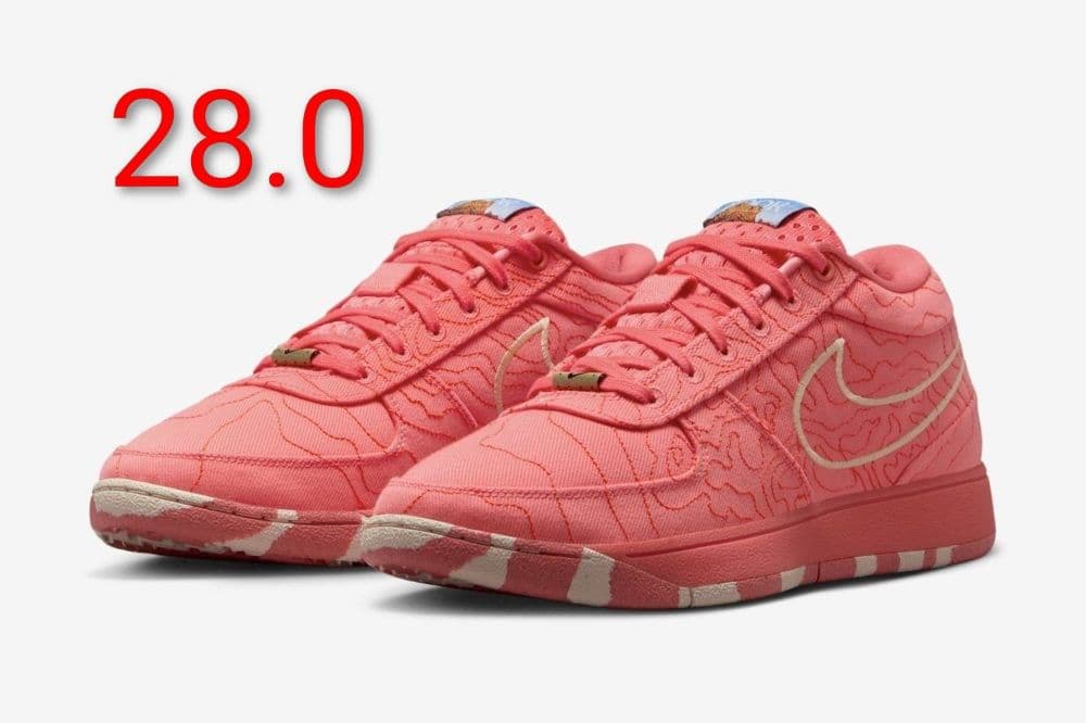 Nike Book 1 TEXT EP “Sedona”　28.0