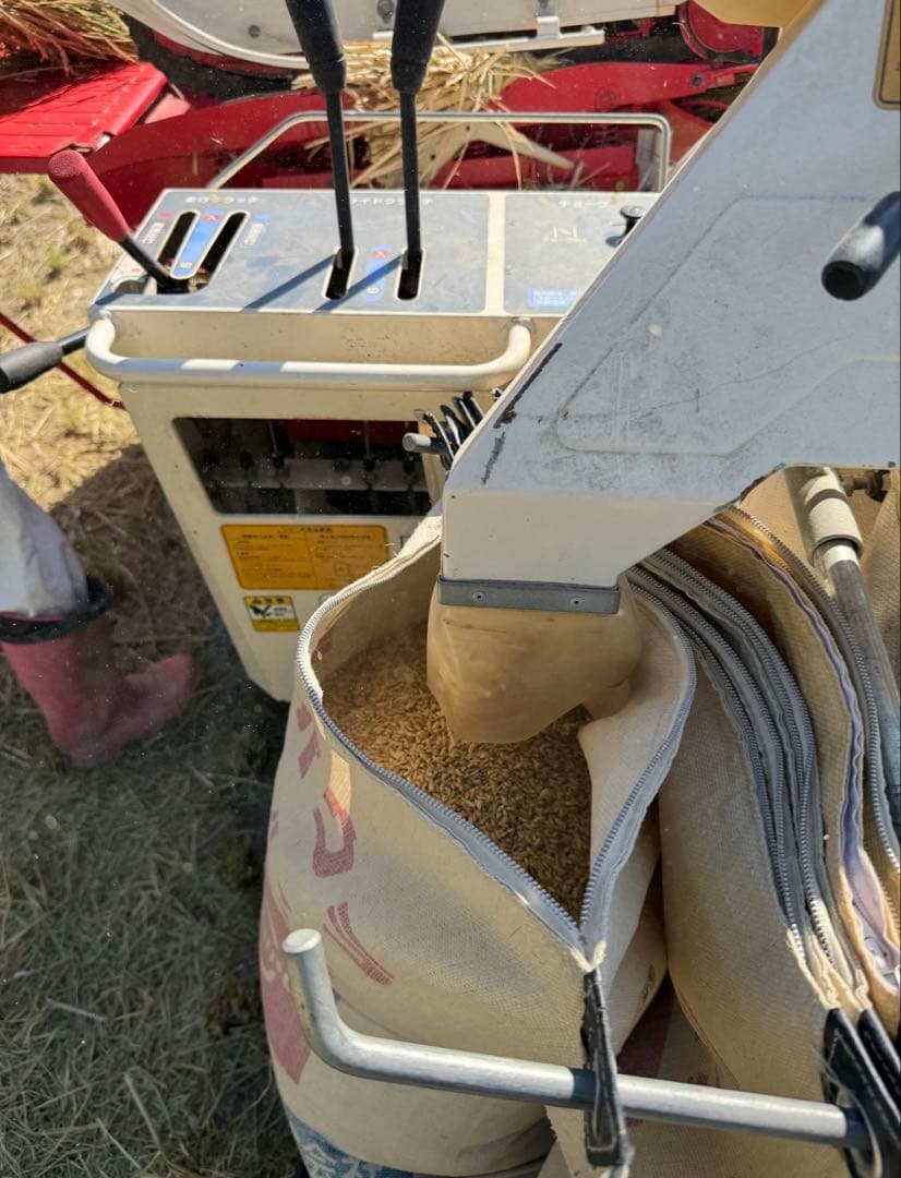 R7年度　兵庫県　南あわじ市産　お米10キロ　無洗米