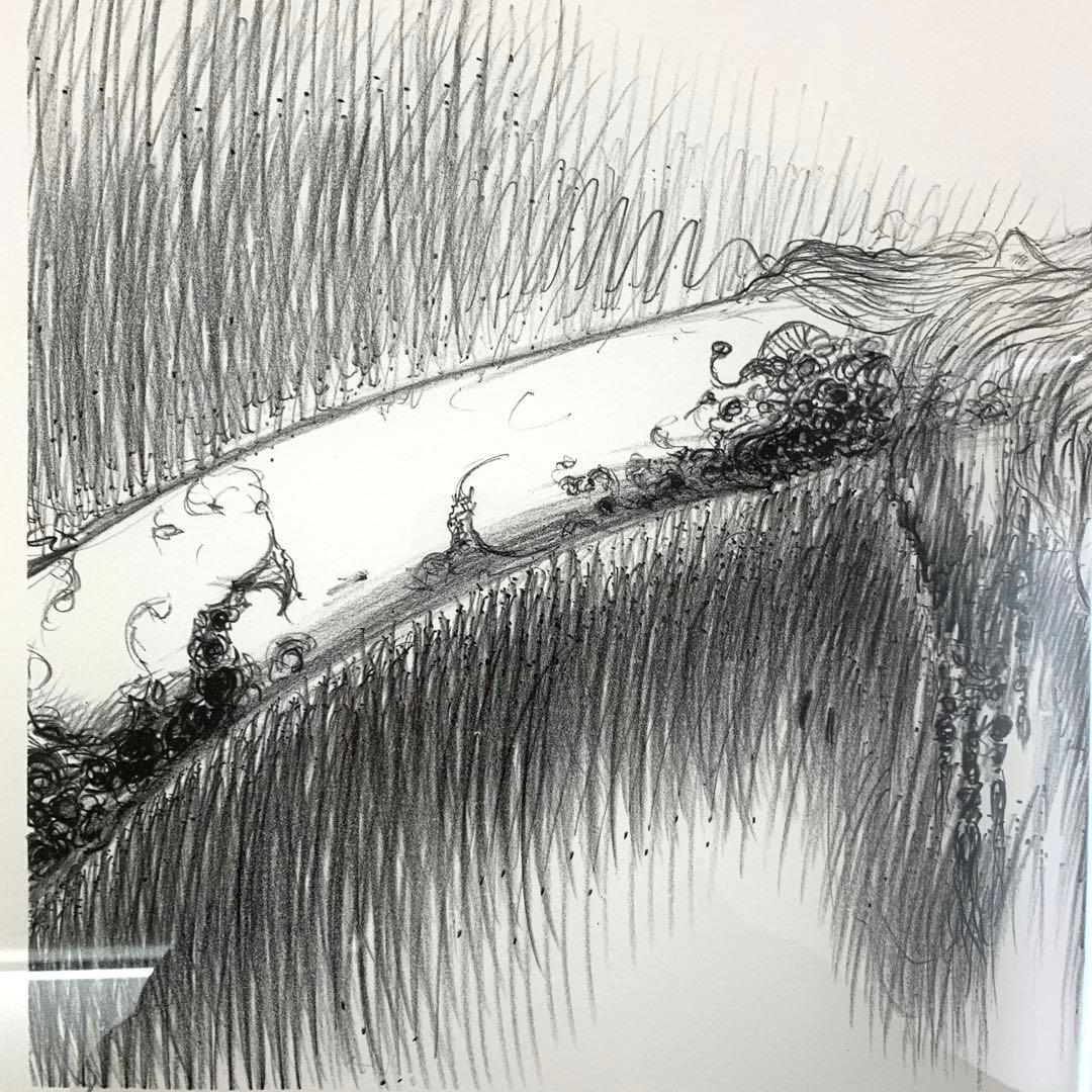 天野喜孝　リトグラフ　星の降る夜　アールビバン　70/100 サイン入り　美品