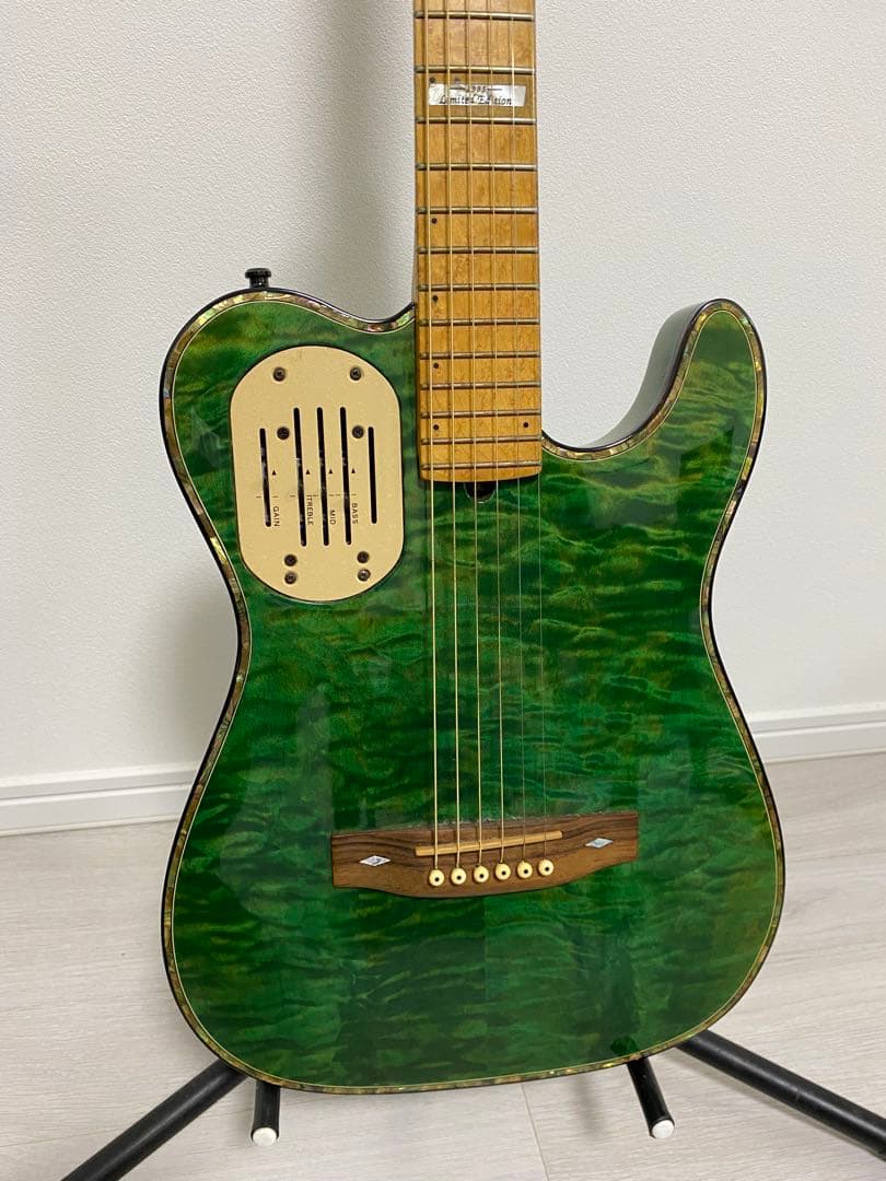 Godin LR Baggs Electronic グリーンエレキギター