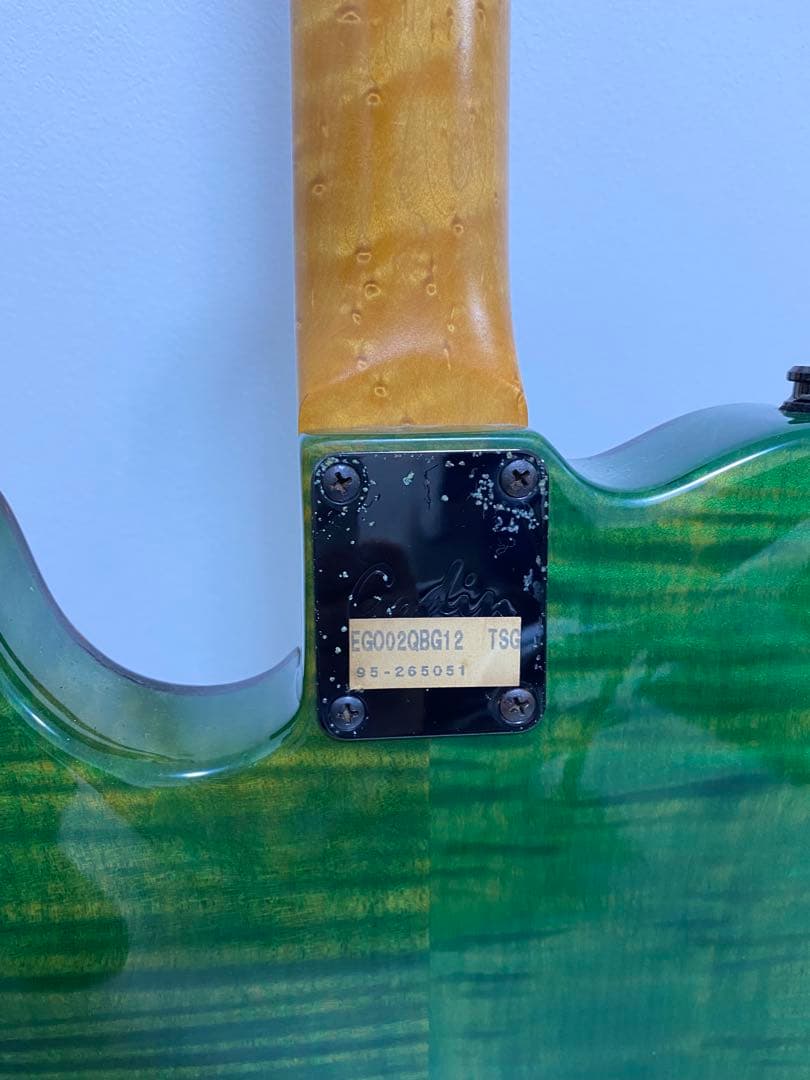Godin LR Baggs Electronic グリーンエレキギター