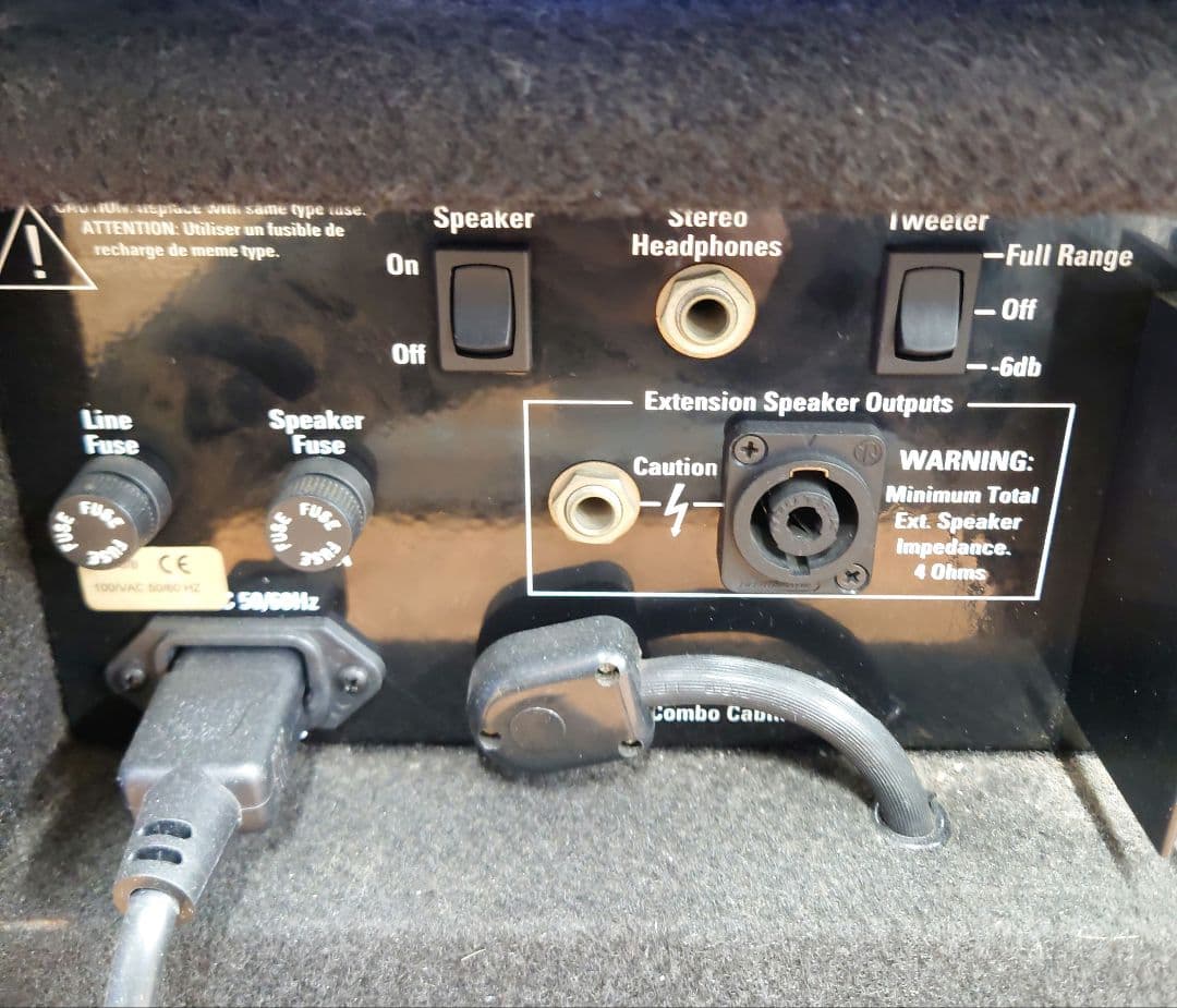 ■■SWR Black Beauty ベース用コンボアンプ【真空管アンプ】