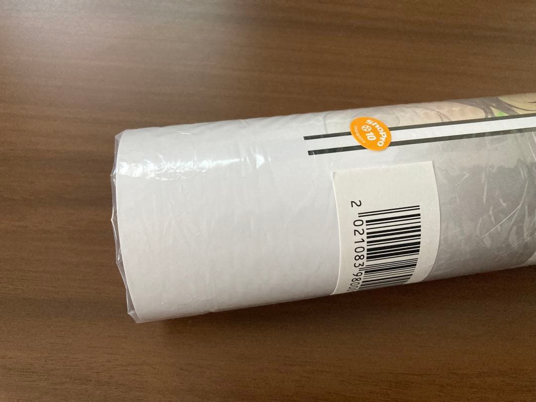 ＴｅＮＱ×『チ。-地球の運動について-』展 描き下ろしB3ポスター 魚豊