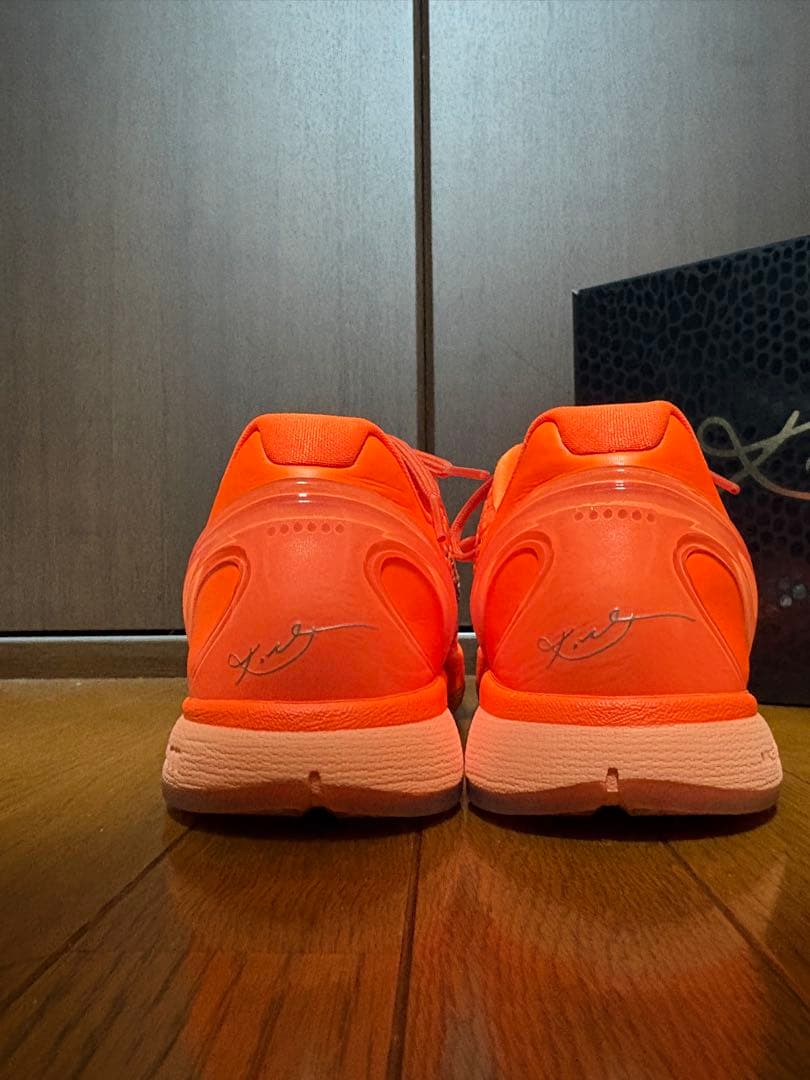 コービー6プロトロ