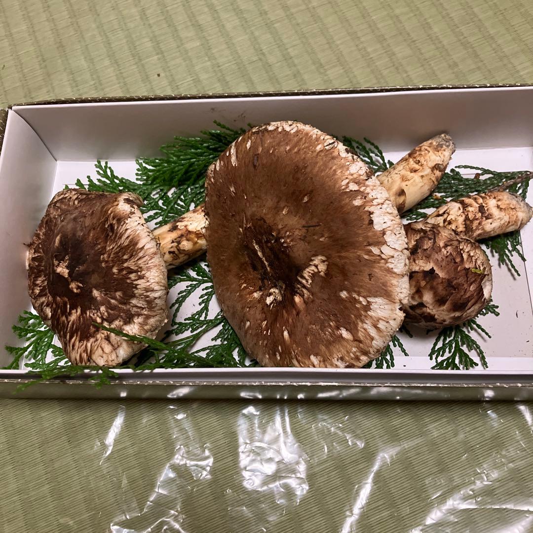 信州産天然松茸 197ｇ