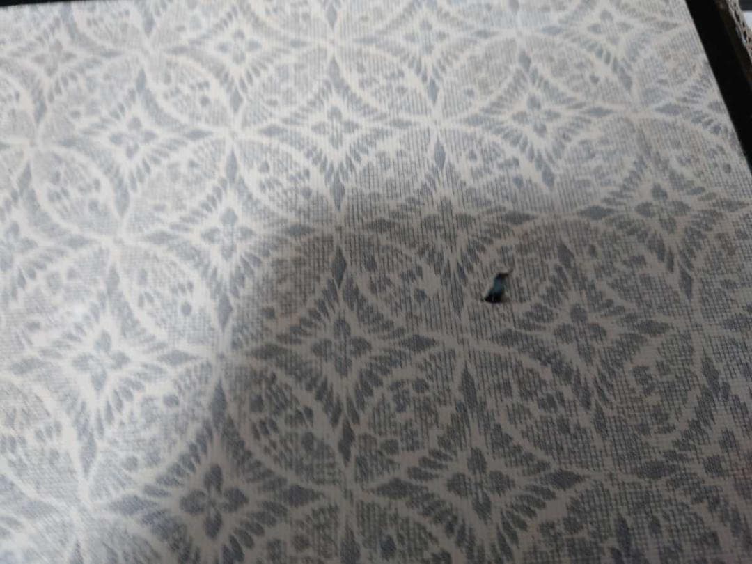 金屏風 雛道具 飾 屏風 中古