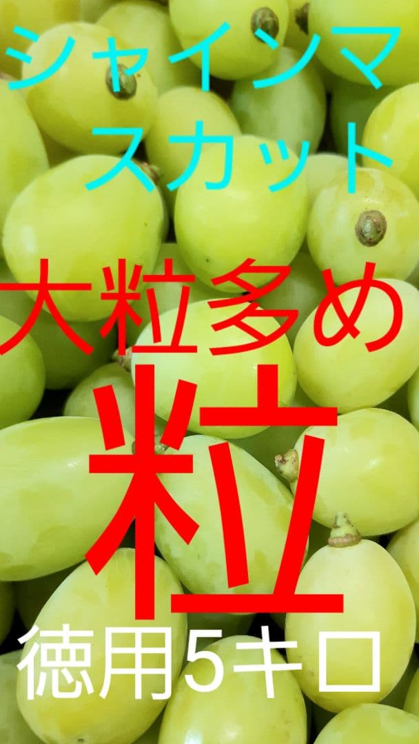 完熟多めのシャインマスカット増量の、徳用5.5キロ入りの粒バック入りになります。
