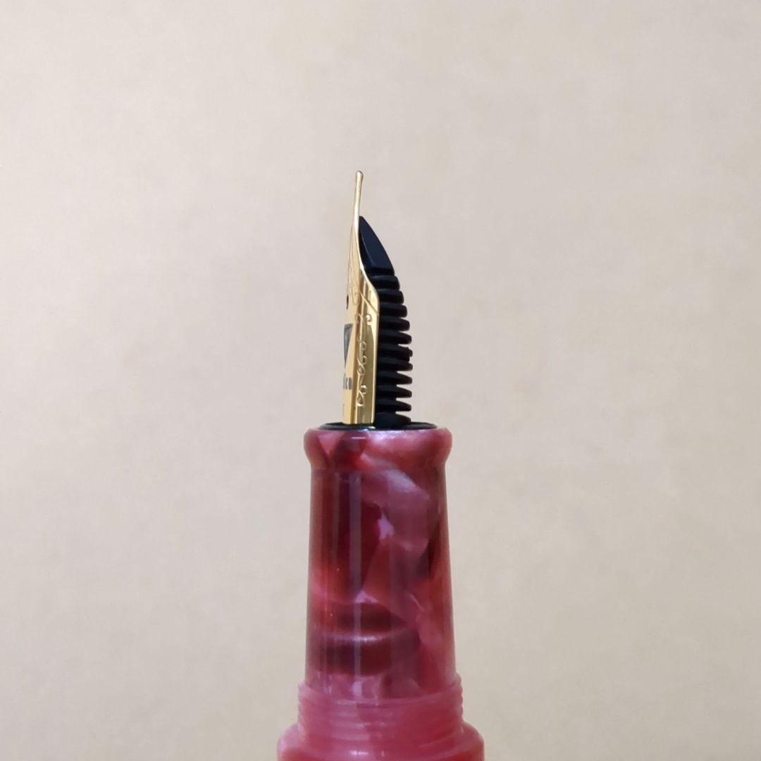 helico シュクル万年筆 コンバーター付き