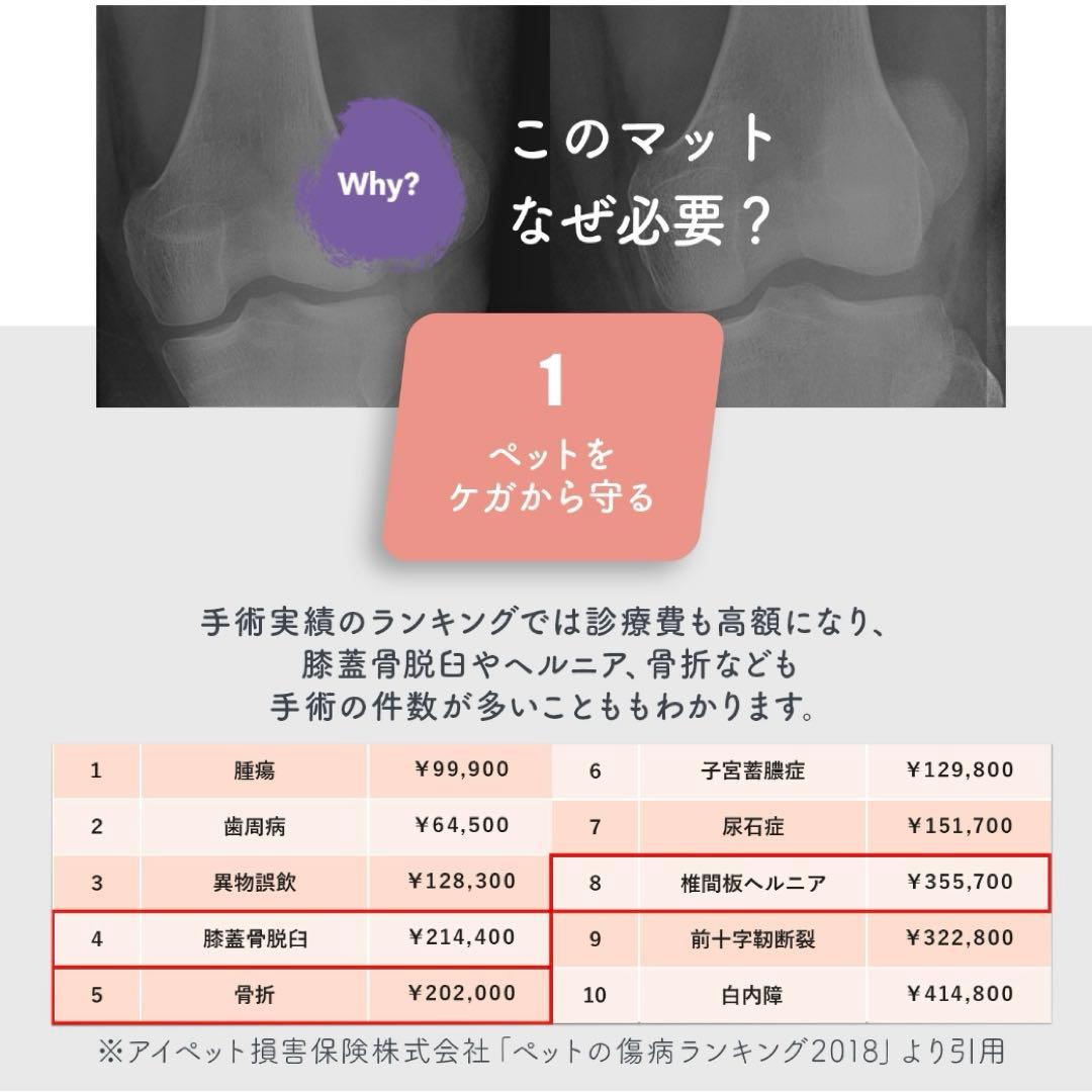 p!nkさま専用　ピュリナ付き