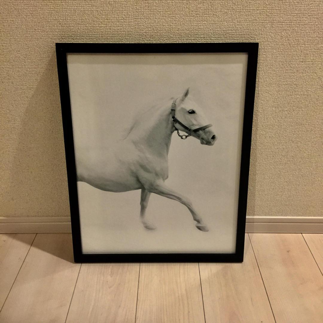 【送料無料】450×550　白馬　ホワイトホース　額付き　アートポスター