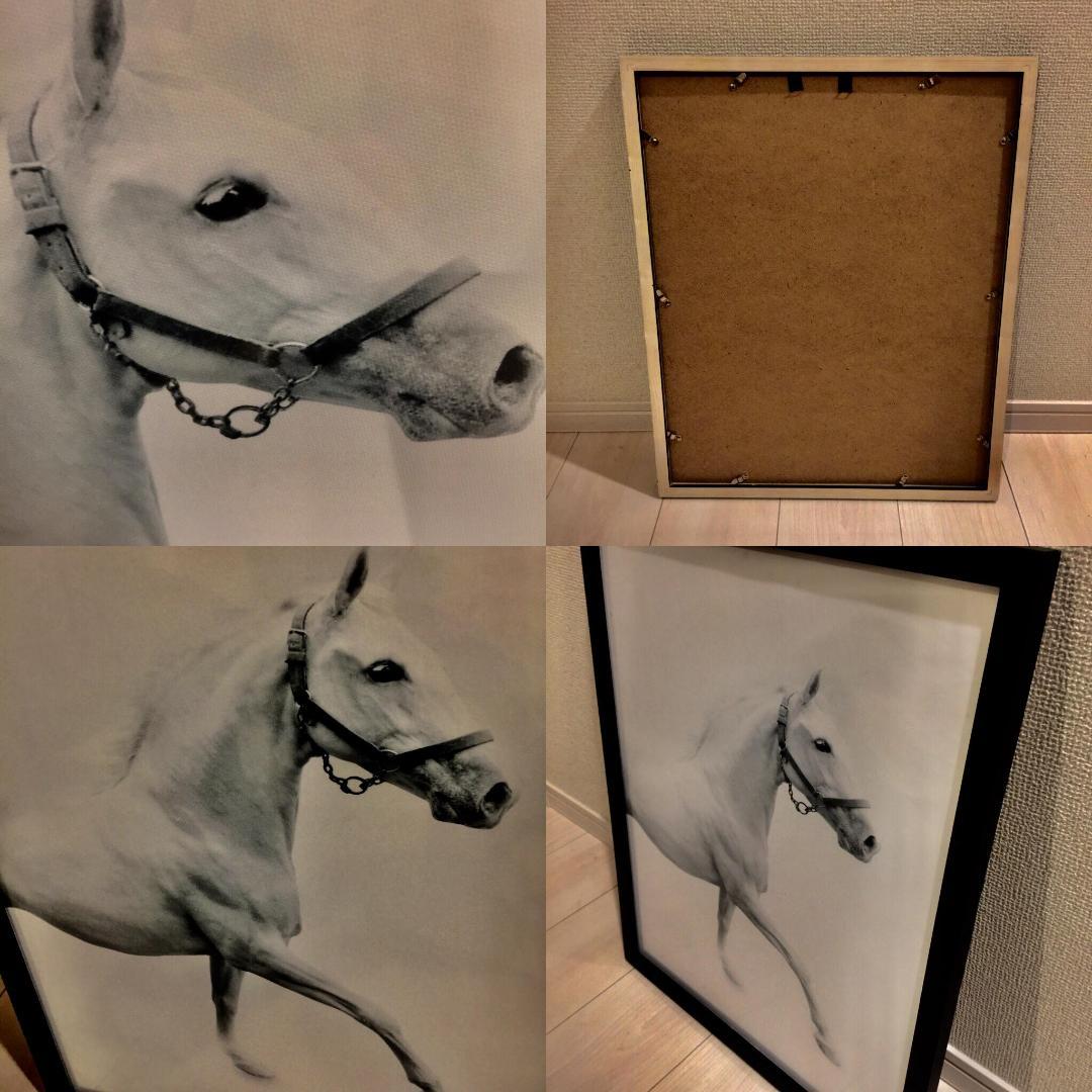 【送料無料】450×550　白馬　ホワイトホース　額付き　アートポスター