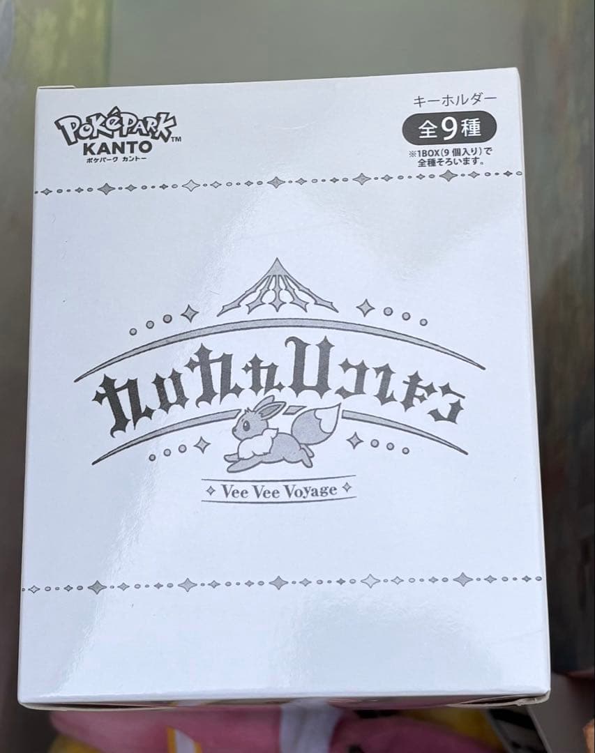 ポケパークカントー限定　イーブイ ブイズ アクリルキーホルダーフルコンプセット