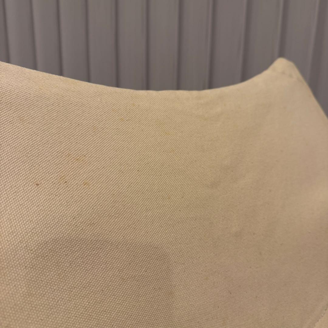 スノーピーク Take!チェアロング　LV-081R 廃盤品番　6号帆布