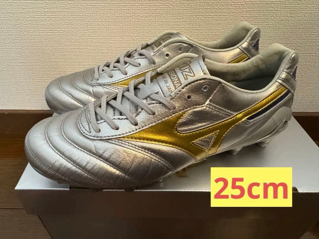 Mizuno モレリア DNA 25cm