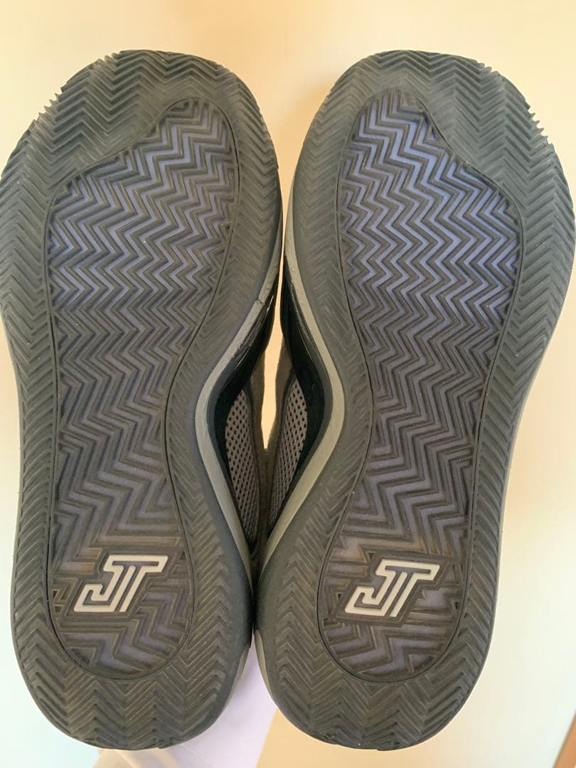 NIKE Jordan テイタム 4 PF 25cm バッシュ