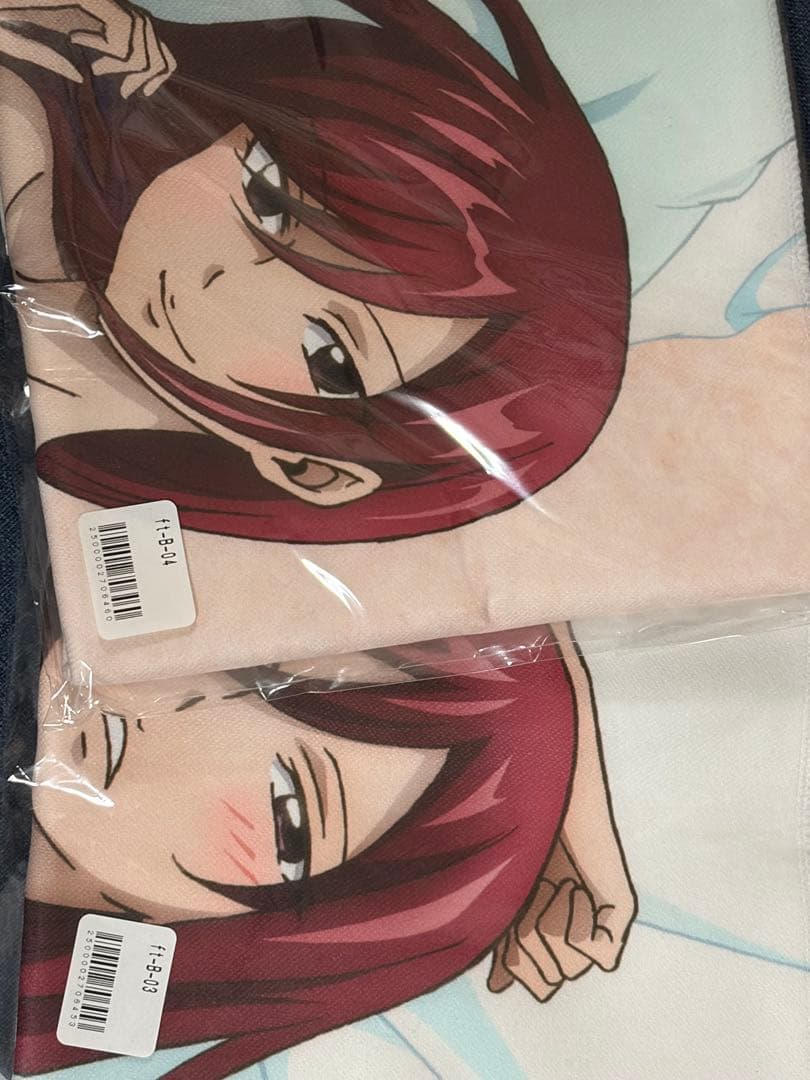 FAIRY TAIL フェアリーテイル これくしょんパーク Ｂ賞 エルザ2種類