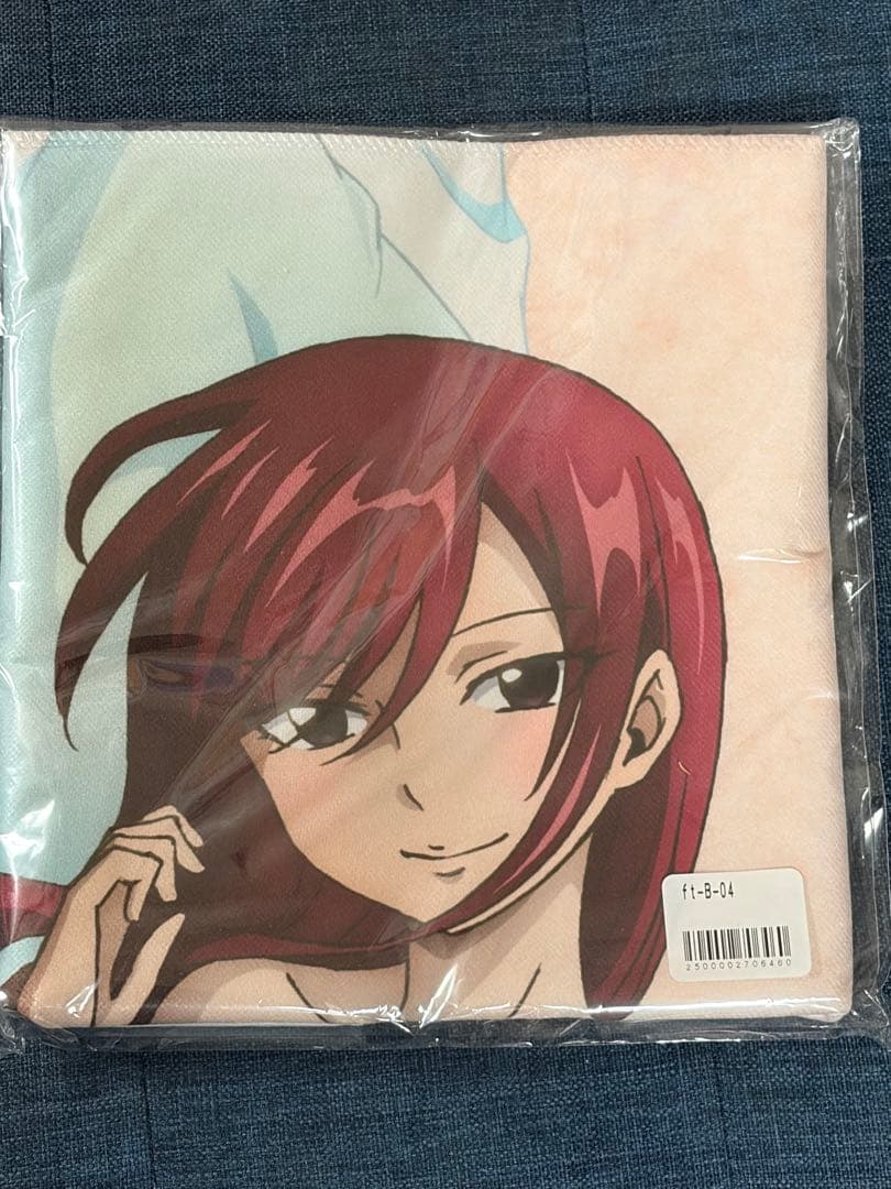 FAIRY TAIL フェアリーテイル これくしょんパーク Ｂ賞 エルザ2種類