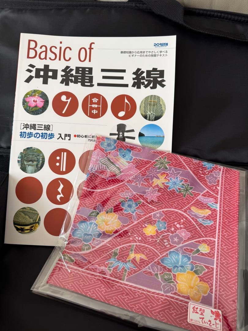 三線 蛇皮ボディ ケース付き