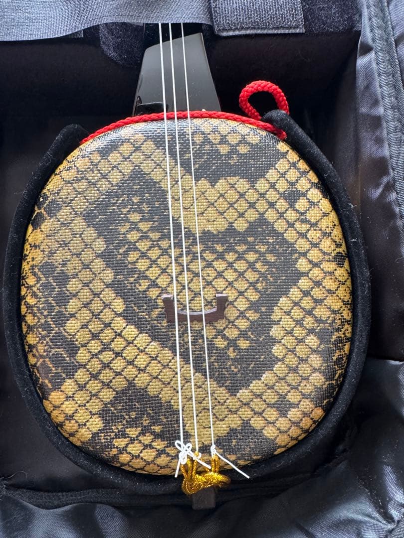 三線 蛇皮ボディ ケース付き