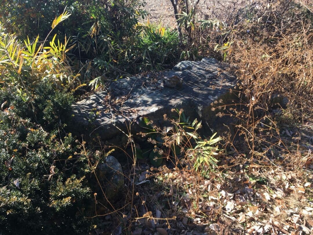 天然記念石！三波石