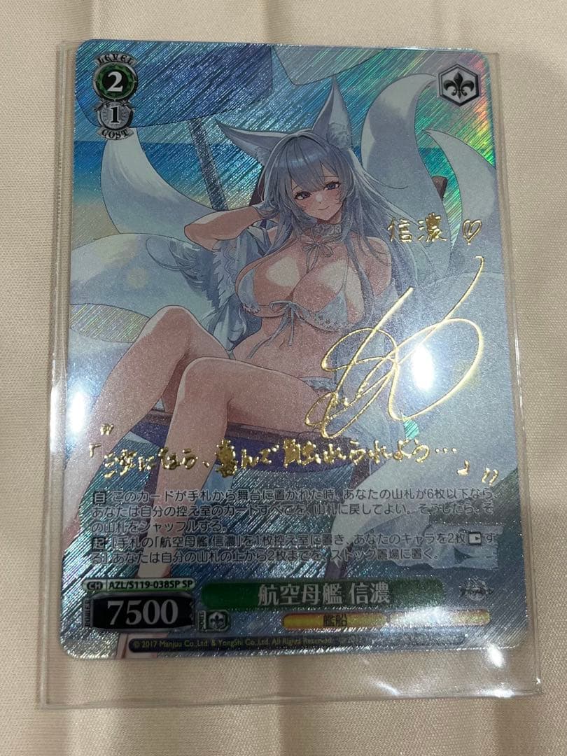 信濃　sp アズールレーンvol.2