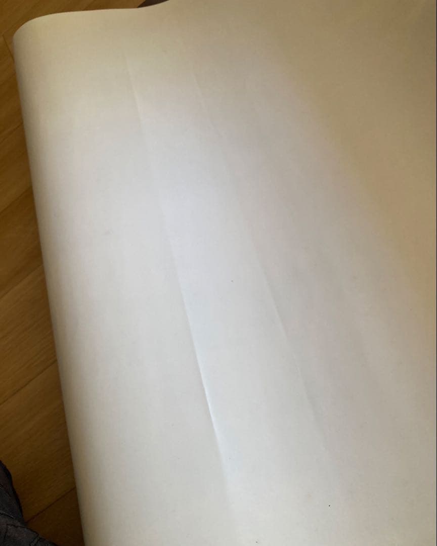 ジミー•ペイジ(レッド•ツェッペリン) ポスター オマケ付き