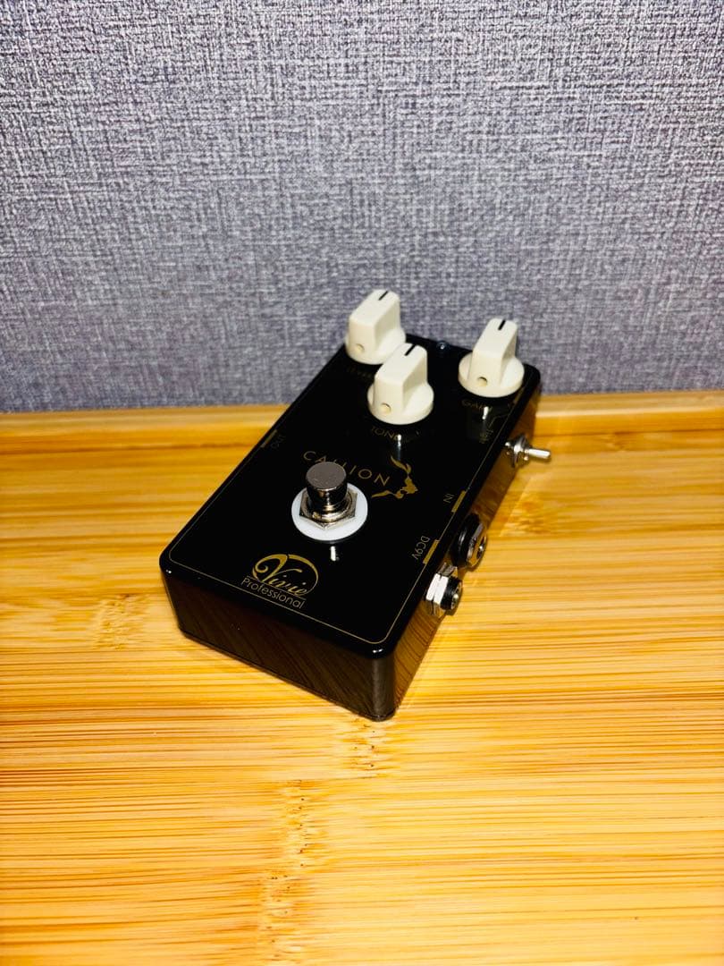 ギター Vivie / CALLION