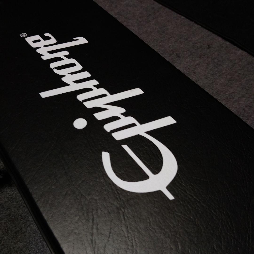 ギター Epiphone Billie Joe Armstrong Les PaulJr