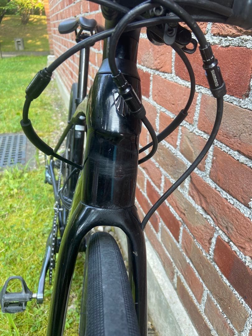 Scar H2  TREK トレック ドマーネAL4 disc 2021