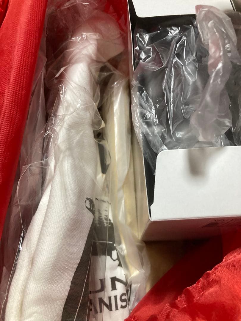 わちふぃーるど　ダヤン福袋　2026 2025 2026 抜き取り無し