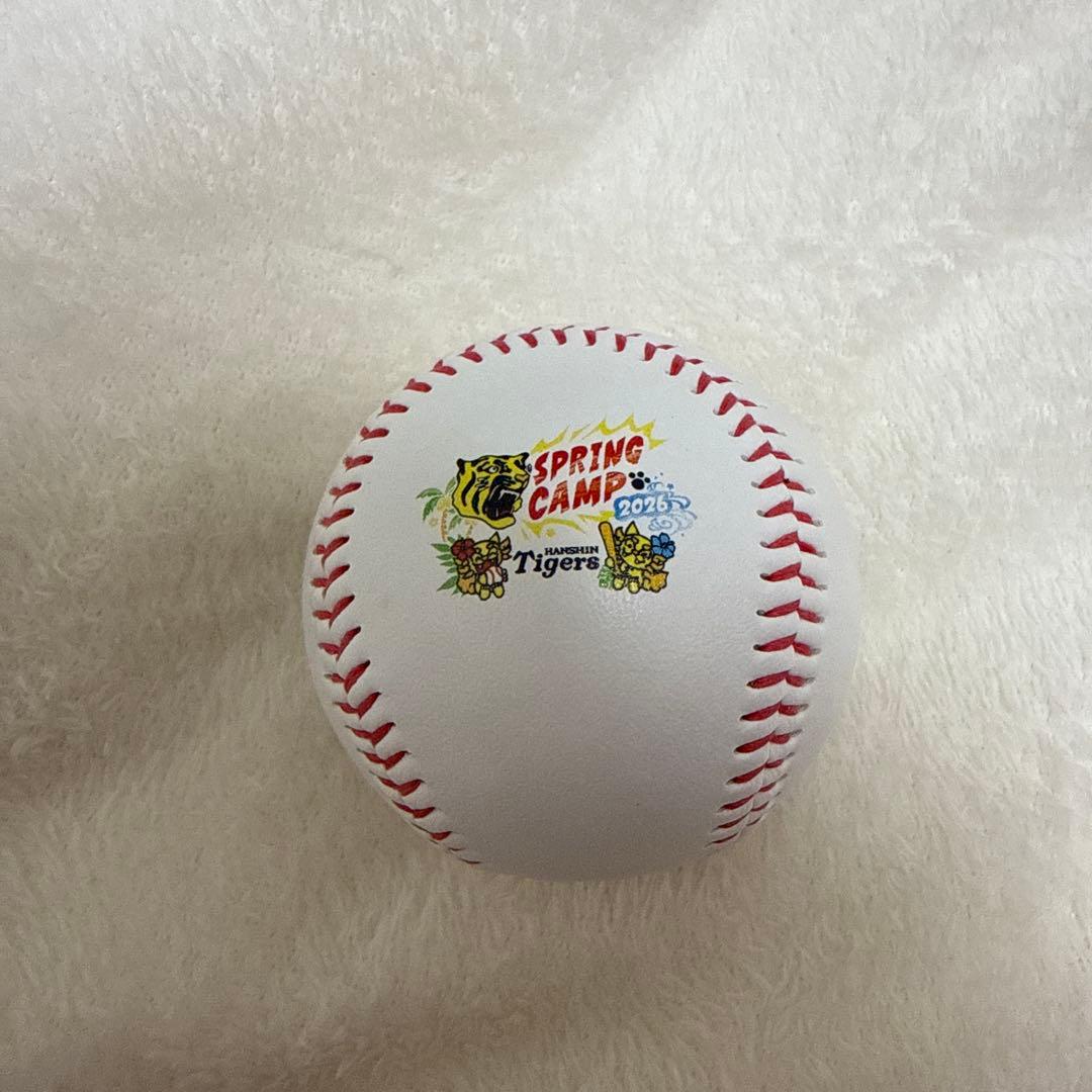 阪神タイガース 立石正広選手 阪神キャンプ サイン ボール 3枚目写真あり