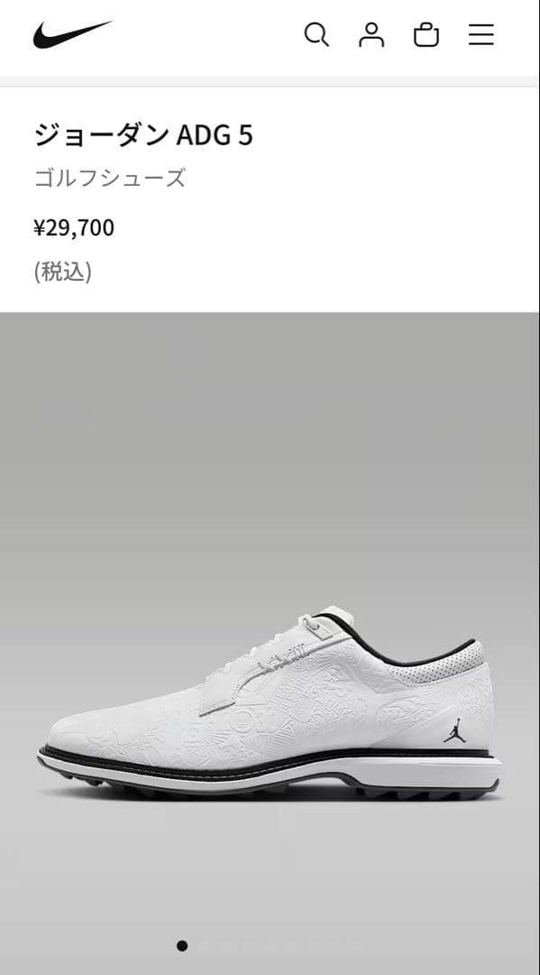 NIKEジョーダンゴルフシューズADG527cm ほぼ新品 定価29,700円