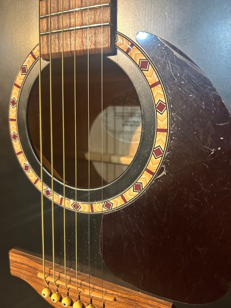 【比較的美品】Godin Art&Lutherie Ceder Black