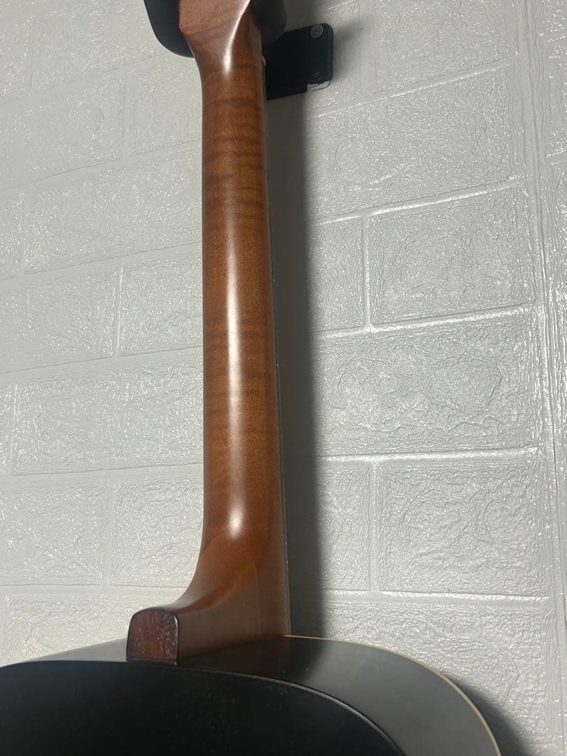 【比較的美品】Godin Art&Lutherie Ceder Black