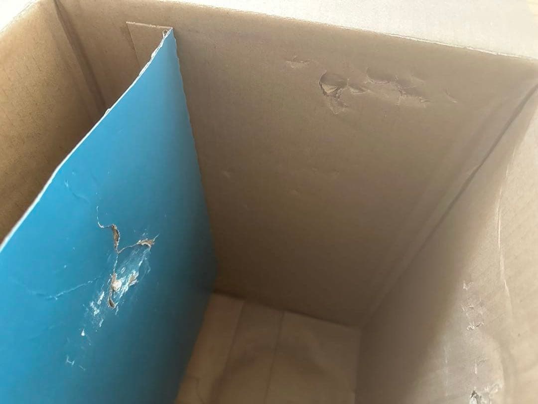 エーハイム　クラシック2215(フィルターパット3種、ろ材2種 非同梱)