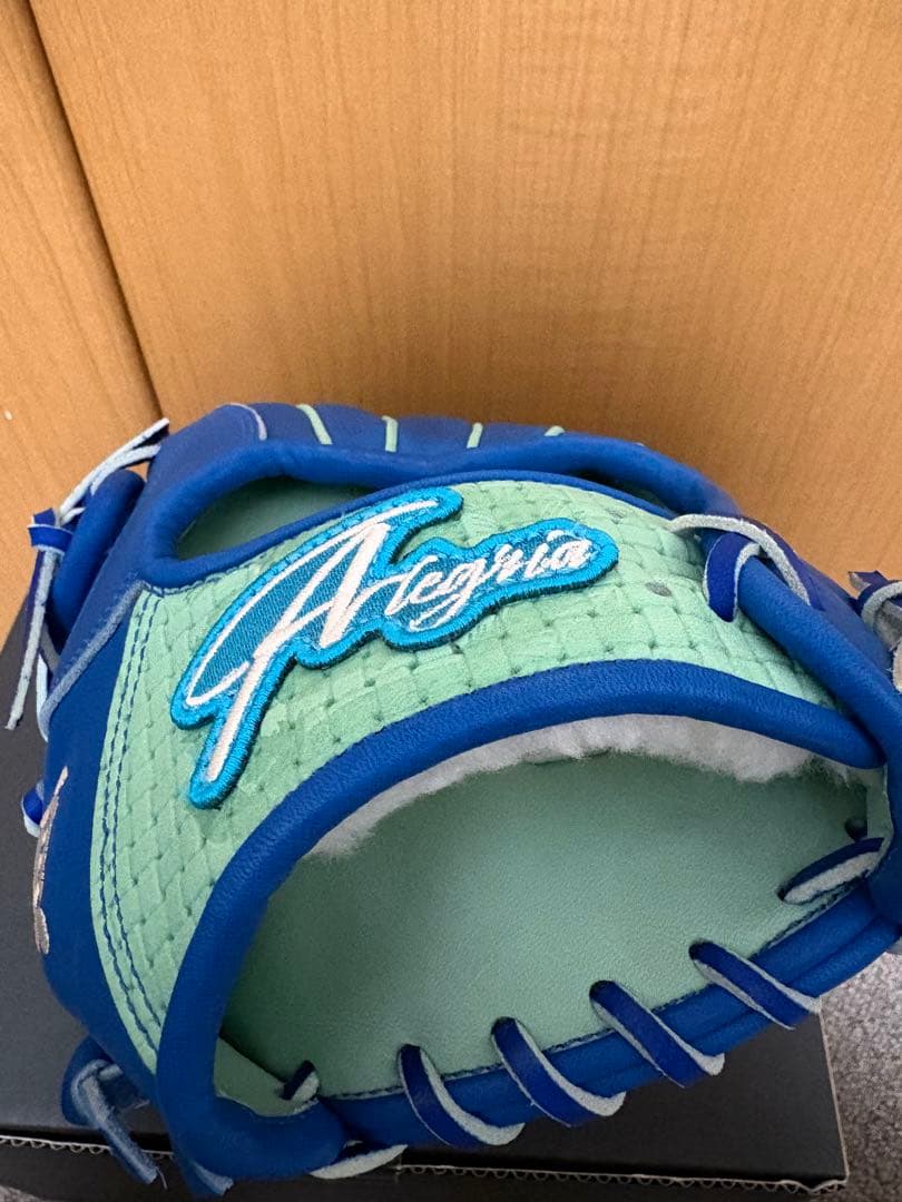 アレグリア軟式オーダー外野用　左投