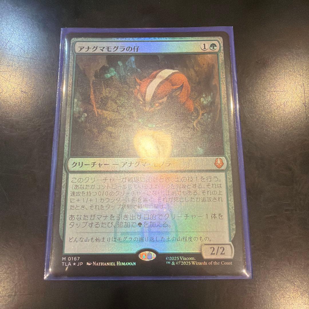 テナグマモグの仔 mtg 日語　foil