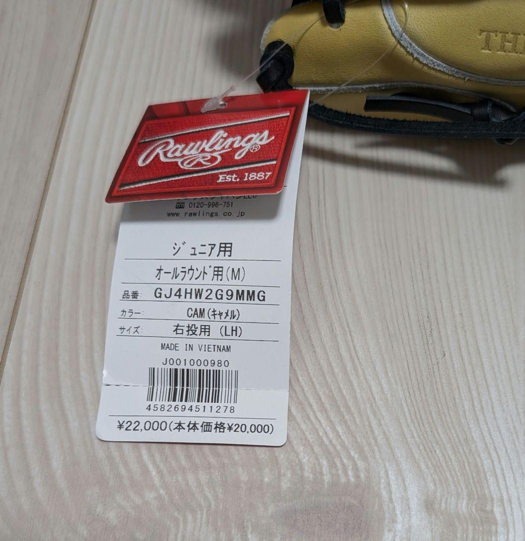 軟式用グローブ　HOH PRO EXCEL　少年用