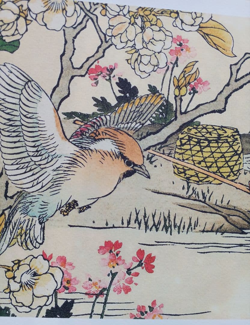 江戸屋版　媒嶺花鳥画譜第1編 27図 手作り古画修復　浮世絵風