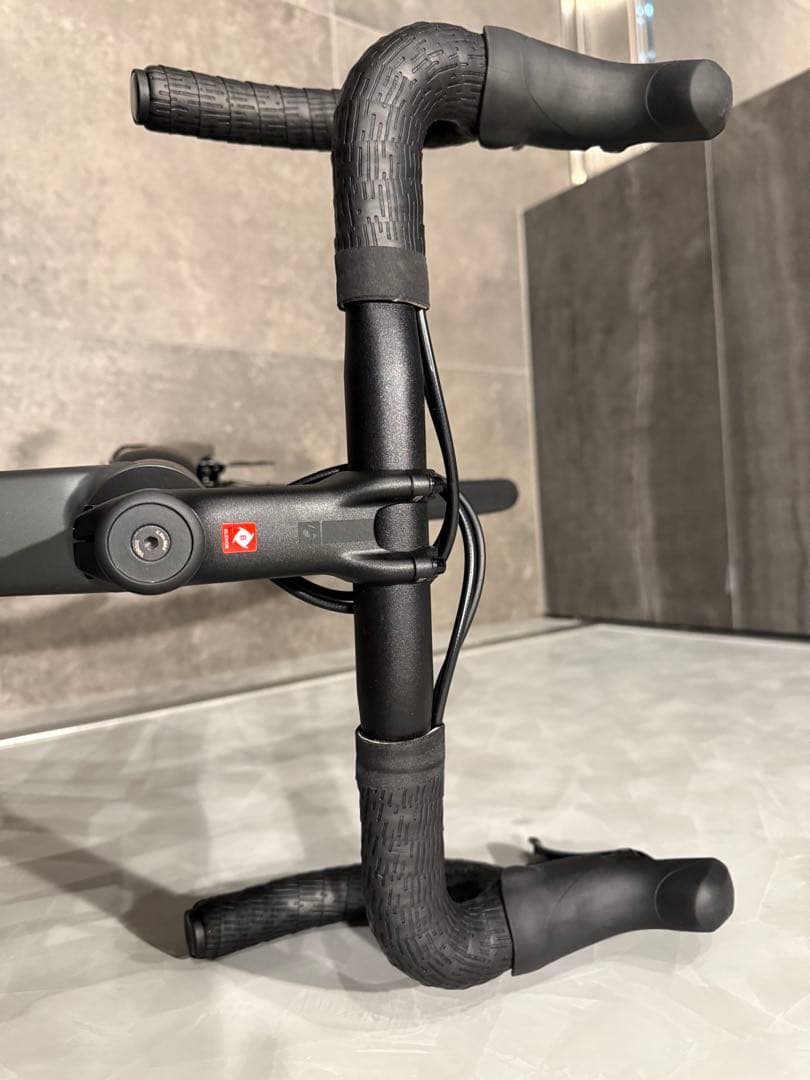 TREK Domane AL2 Gen4 2025年