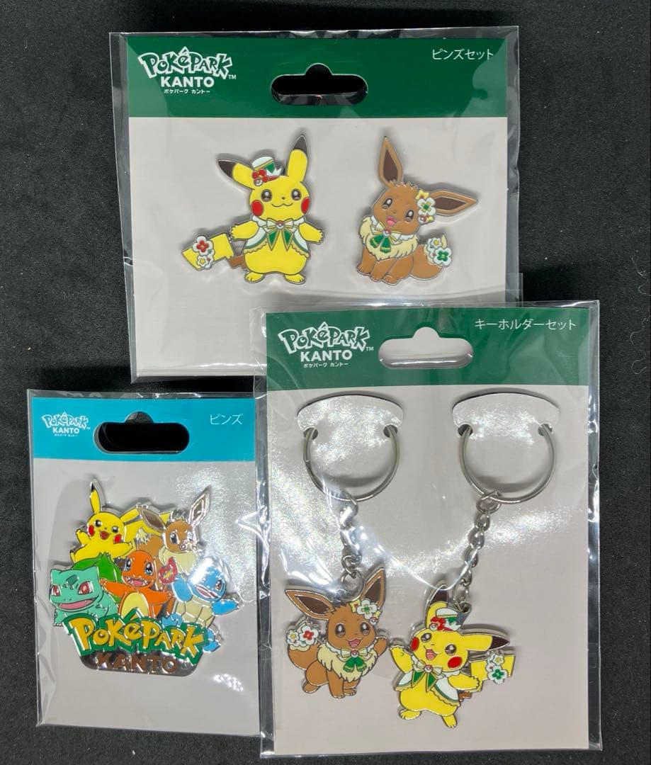 ポケパーク　カントー　限定　 ピンズ　 ピンズセット　キーホルダーセット
